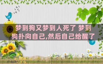 梦到狗又梦到人死了 梦到狗扑向自己,然后自己给醒了